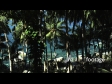 Palms and the Sea at Nakalai Beach 3373